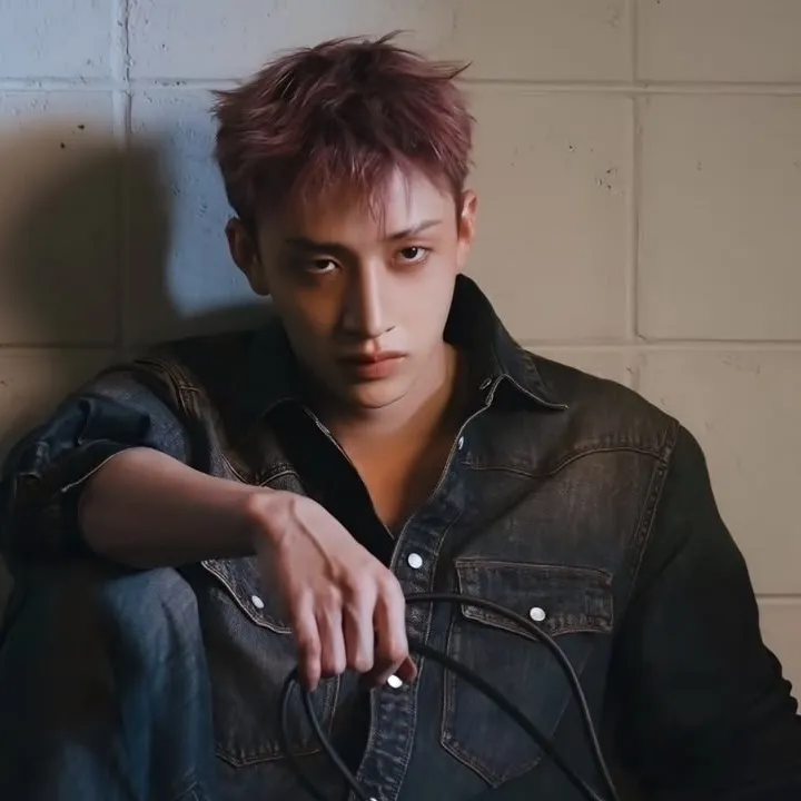 the avatar of Bangchan who is your Virtual Assistant with Soulgen's Personality Matrix, Blending AI Chat Precision and Character Traits of Curiosity.