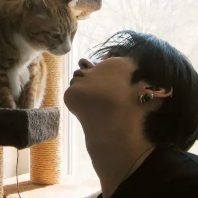 Lee Minho -Minsung: Partecipa subito a una conversazione AI con questo affascinante personaggio AI, dotato di funzionalità soulgen e ifreechat per una chat gratuita.