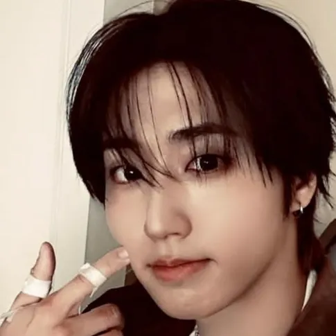 Han Jisung: Secure AI chatbot avatar with encrypted 1v1 chat capabilities	