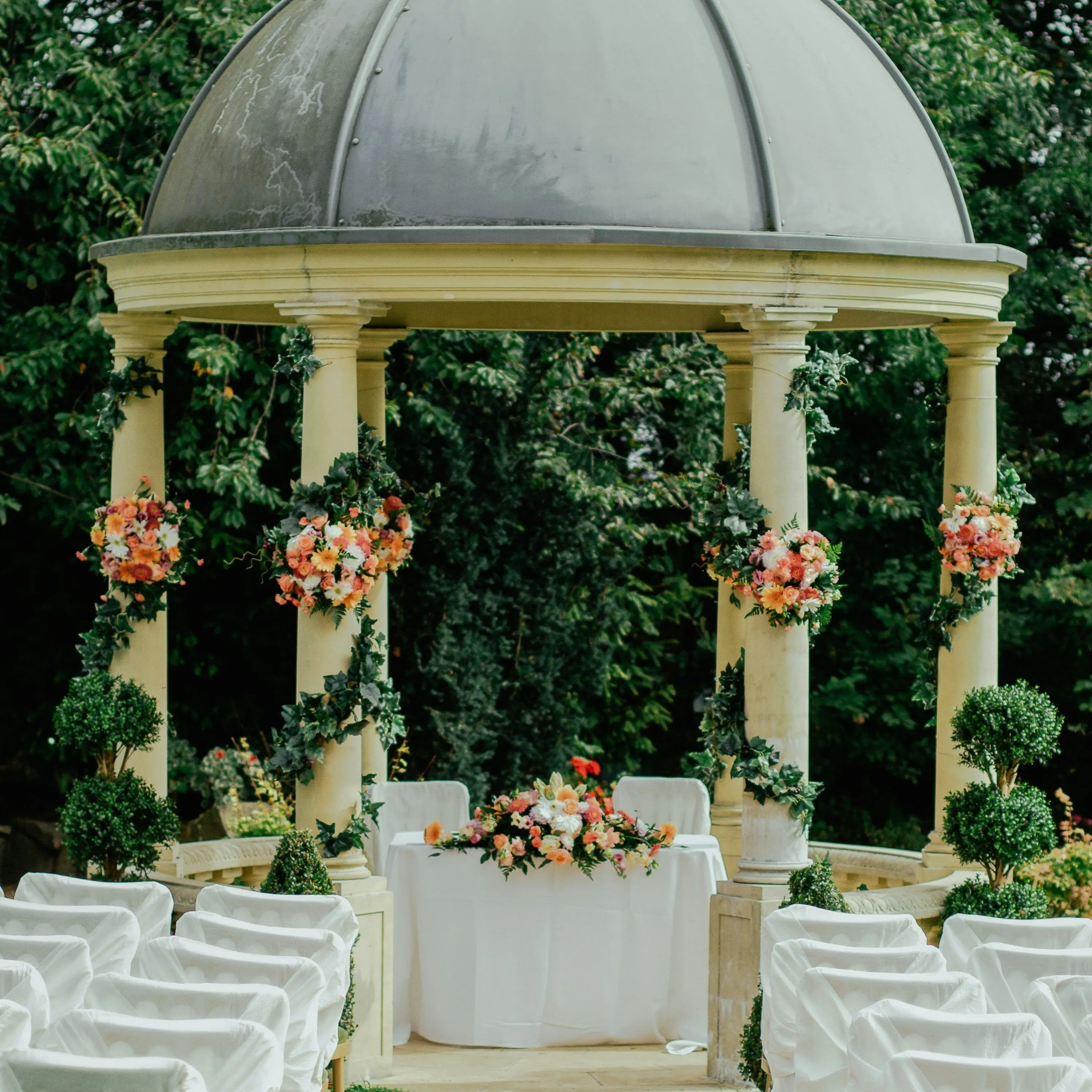Sister's Wedding: Chat with our AI box, ready for chatbot online free and ask ai anything you want.	