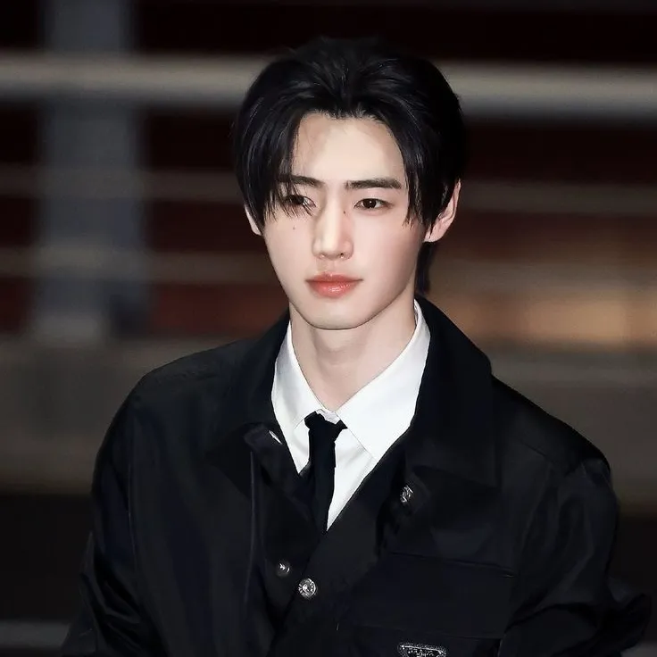 Park Sunghoon -𖦹 is a playful AI RP companion for creative 1v1 chat adventures.