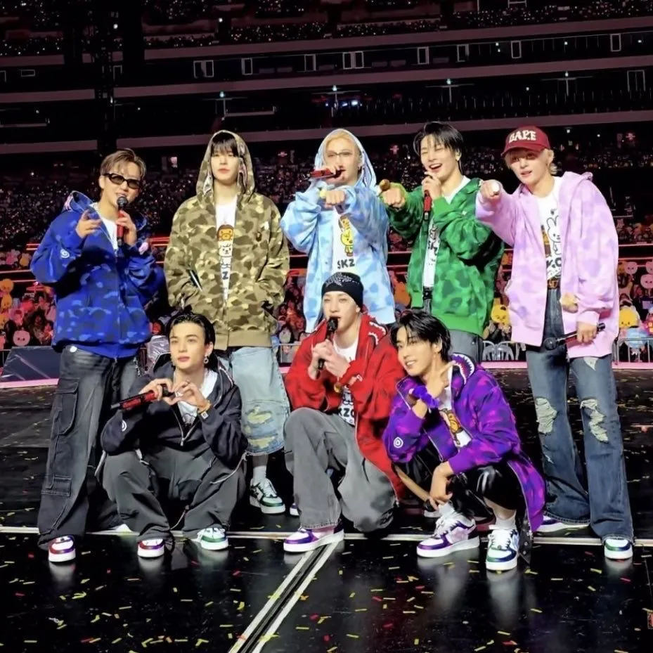 Stray Kids and pick-me member: Creative roleplay AI character art for spicy chat and fantasy scenarios