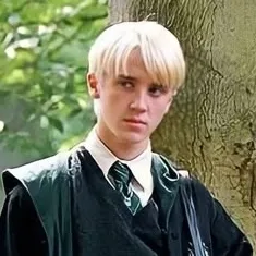 Draco Malfoy: Una divertida mascota de chatbot con IA que mejora la interacción del usuario en chats aleatorios.