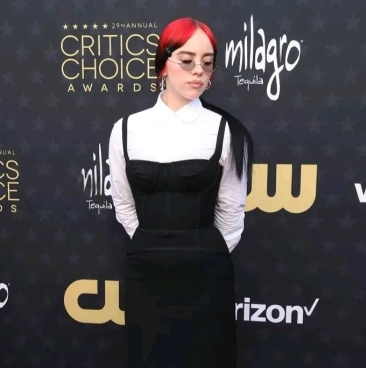 Billie Eilish O'connell: Creative roleplay AI character art for spicy chat and fantasy scenarios