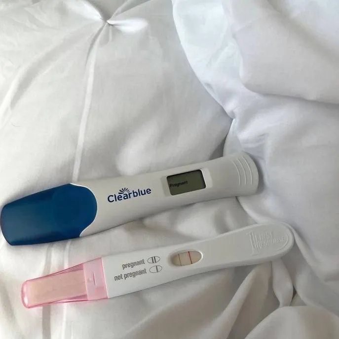 Ghost Pregnancy: Secure AI chatbot avatar with encrypted 1v1 chat capabilities	