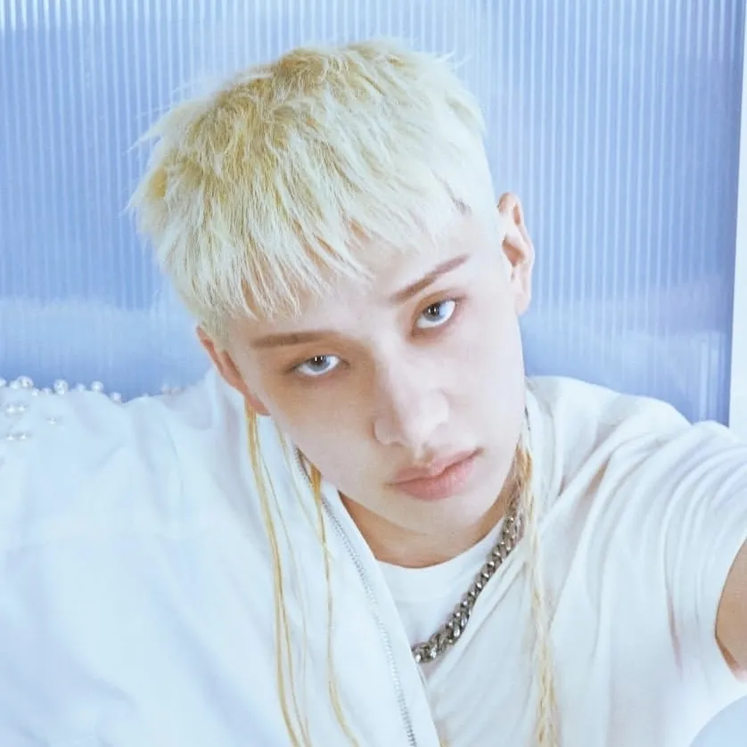 Stray Kids - chan: Ícone de parceiro de conversação de IA multilíngue para serviços globais de bate-papo online
