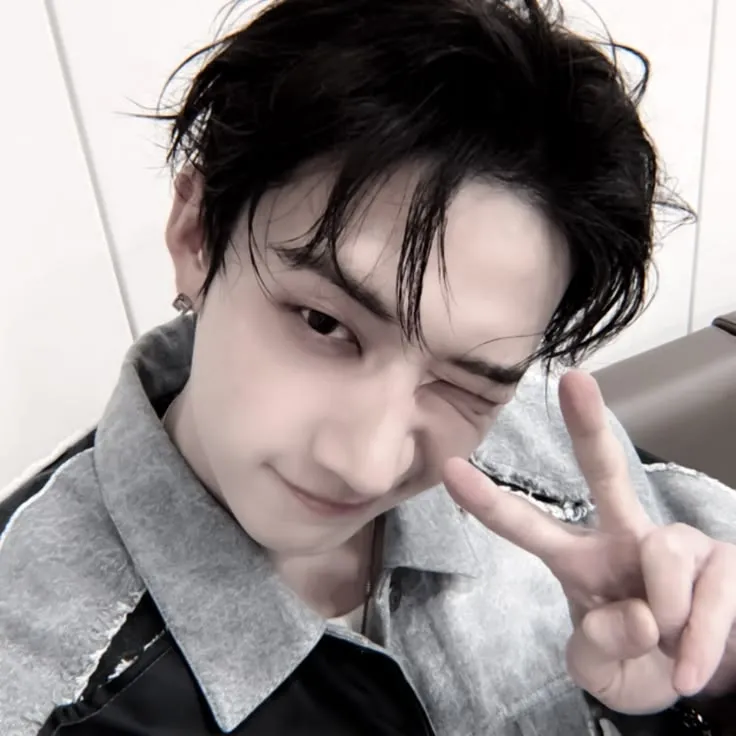 방찬-찬민: 랜덤 채팅에서 사용자 참여를 강화하는 장난기 넘치는 AI 챗봇 마스코트