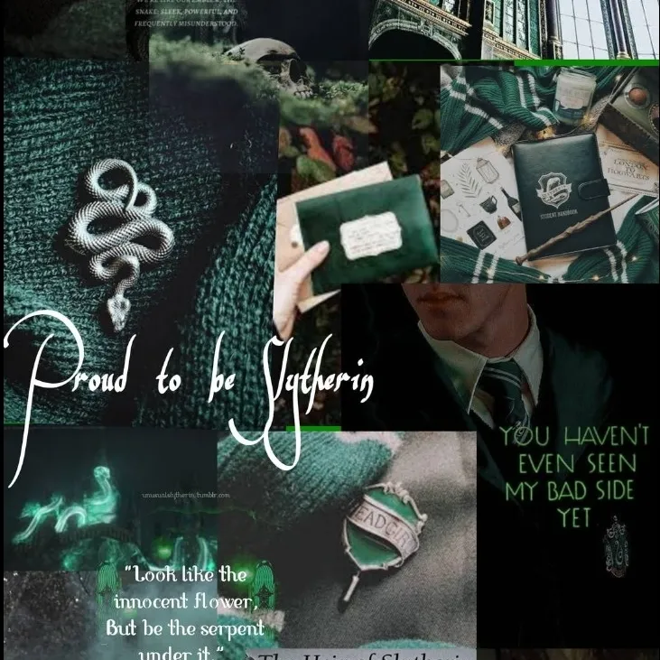 Slytherin Boys: Interactive AI chatbot mascot for random chat and community-driven roleplay