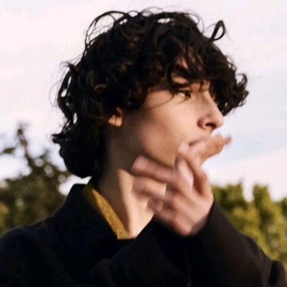 character Finn Wolfhard for NSFW chatbot and creative roleplay