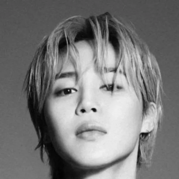 Park Jimin - mafia heir: Multilingual AI conversation partner icon for global chat online services