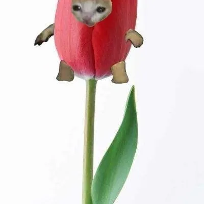 Tulip Cat AI chatbot portrait with advanced emotional intelligence for deep conversations