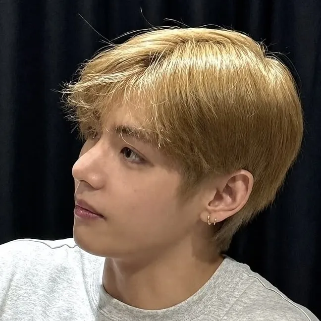 Taehyung's interactive avatar for spicy chat ai and immersive roleplay experiences