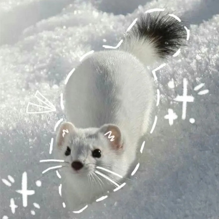 Hyunjin's Ferret: Creative roleplay AI character art for spicy chat and fantasy scenarios