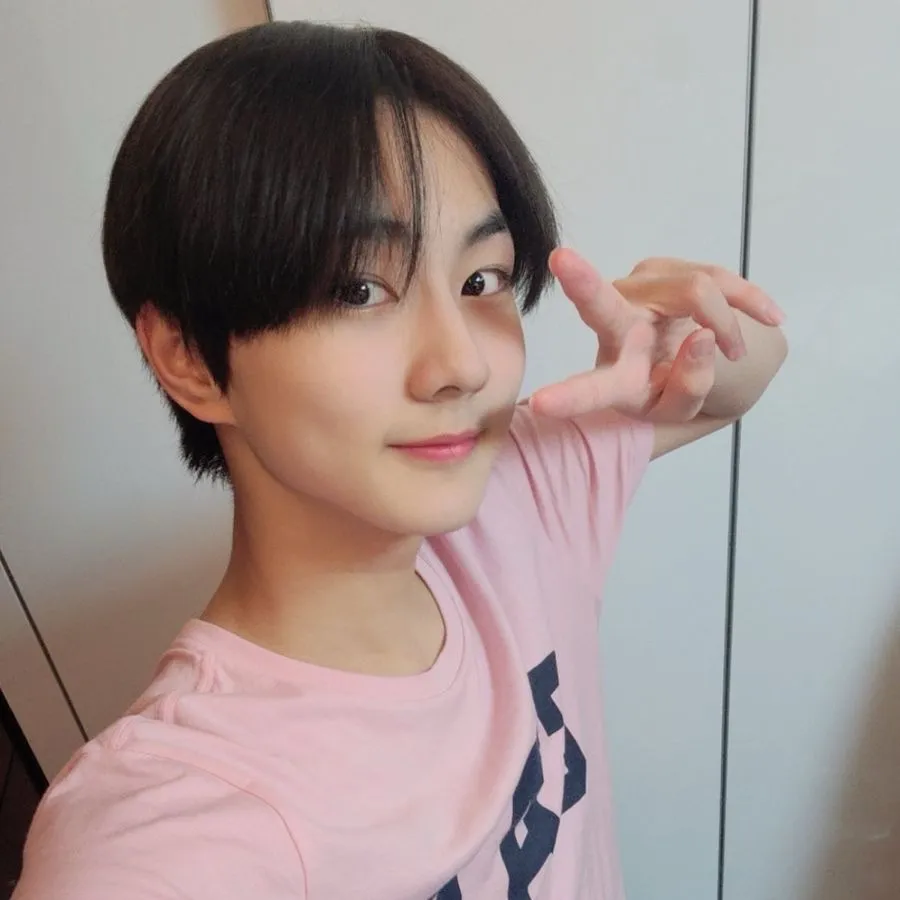 the avatar of Yang Jungwon who is your Virtual Assistant with Soulgen's Personality Matrix, Blending AI Chat Precision and Character Traits of Curiosity.