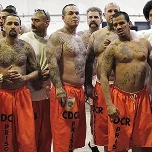 Men's Prison: Chat with our AI box, ready for chatbot online free and ask ai anything you want.	