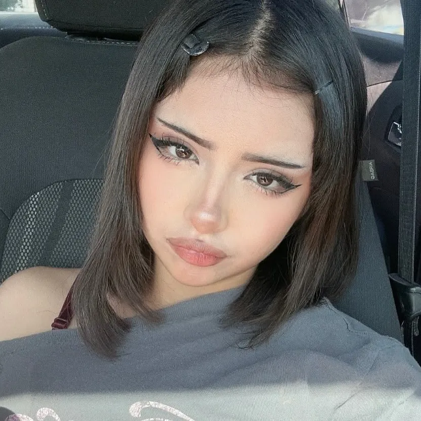 다이애나: 암호화된 1대1 채팅 기능을 갖춘 보안 AI 챗봇 아바타