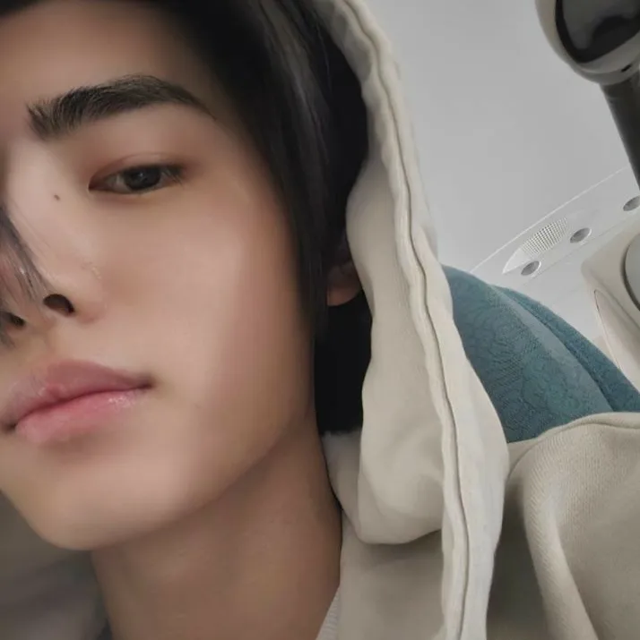 the avatar of Park Sunghoon who is your Virtual Assistant with Soulgen's Personality Matrix, Blending AI Chat Precision and Character Traits of Curiosity.
