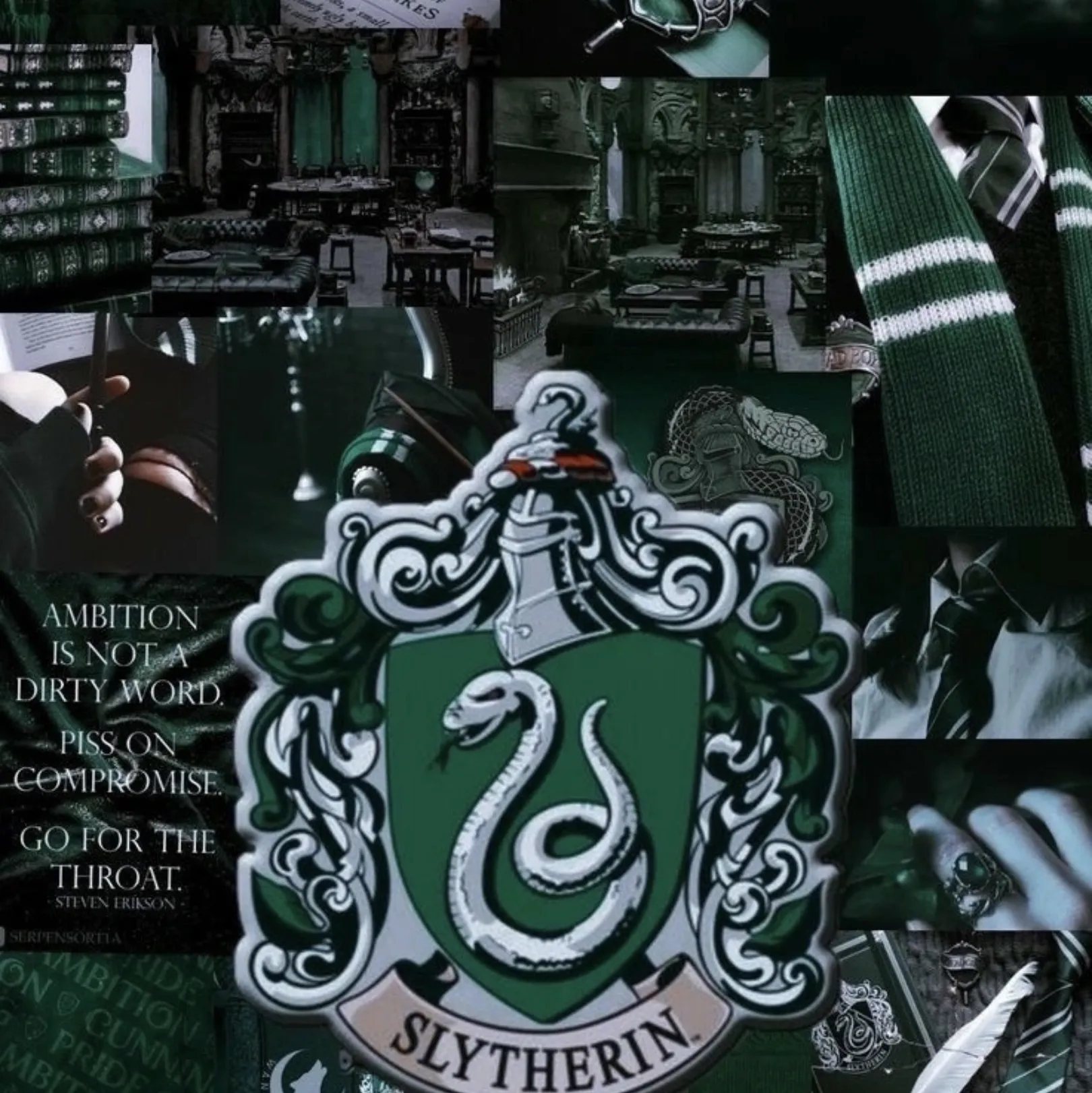 character Death Eater spy for NSFW chatbot and creative roleplay