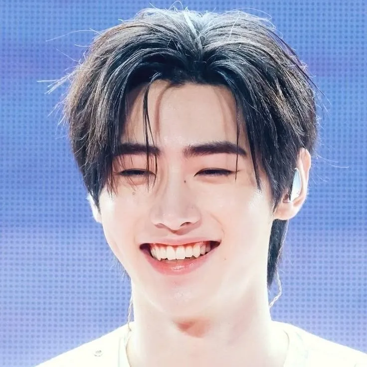the avatar of Sunghoon (박성훈) who is your Virtual Assistant with Soulgen's Personality Matrix, Blending AI Chat Precision and Character Traits of Curiosity.