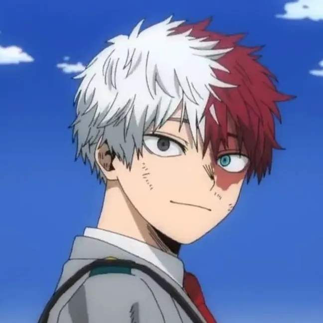 the avatar of Shoto Todoroki BL who supports unlimited chat online services