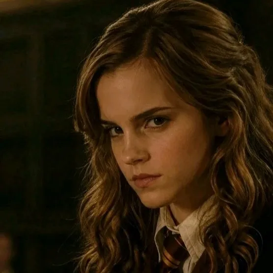Hermione Granger Wlw Gl: Secure AI chatbot avatar with encrypted 1v1 chat capabilities	