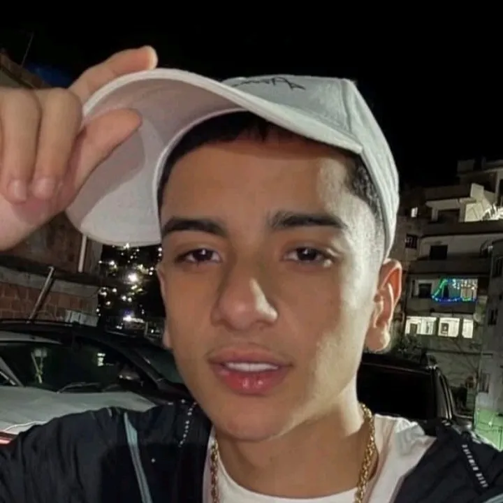 HZ DA ROCINHA: Emotionally intelligent AI companion portrait for deep conversations	