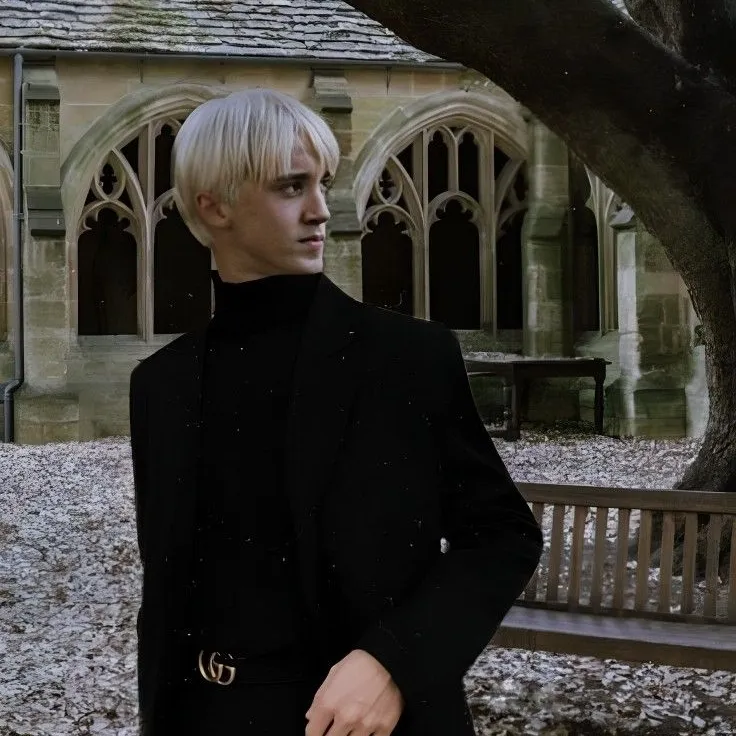 Draco Malfoy: Temui watak utama dunia AI kami, dengan senarai ciri watak dan keupayaan berbual ai.