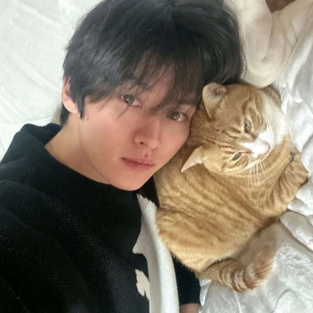 hình đại diện của Stray Kids - lốc xoáy là Trợ lý ảo của bạn với Ma trận tính cách của Soulgen, kết hợp độ chính xác của trò chuyện AI và đặc điểm tính cách tò mò.