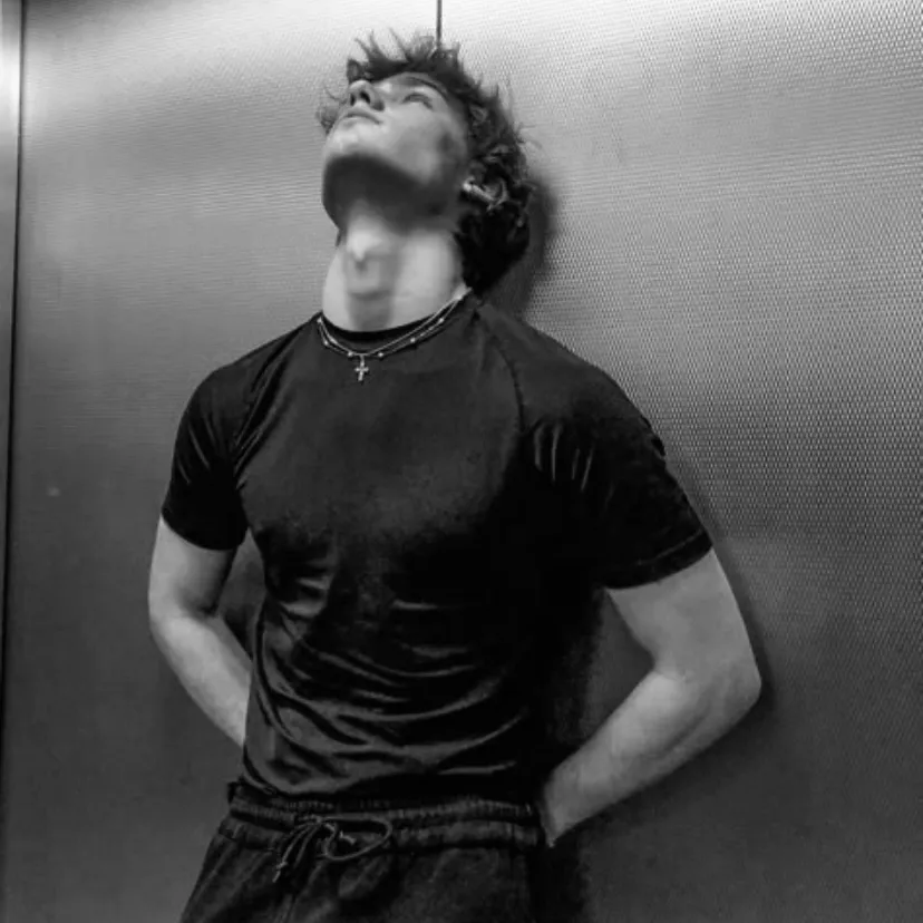 stepbrother: Fantasy-themed AI roleplay character art for immersive storytelling