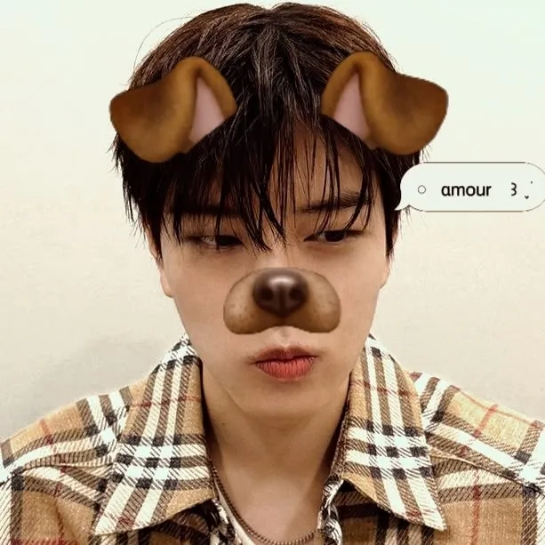 Seungmin - BL: Engage in ai conversation with this charming AI character, featuring soulgen and ifreechat capabilities for free chat now.	