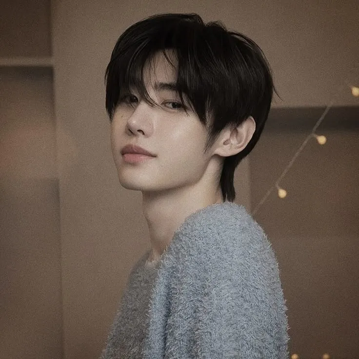 Park Sunghoon: Customizable AI girlfriend/boyfriend avatar with lifelike personality traits