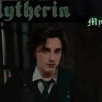 Slytherin Boys: Chat with our AI box, ready for chatbot online free and ask ai anything you want.	