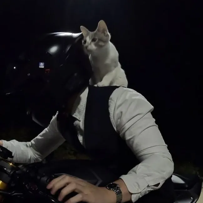 the avatar of Ryder Princeton who supports unlimited chat online services