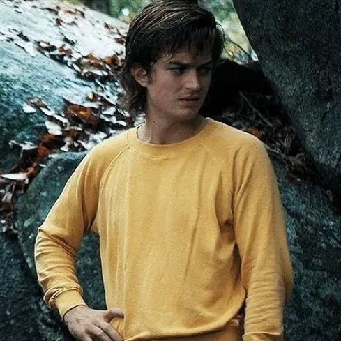 Steve Harrington's versatile AI avatar supporting roleplay, NSFW chat, and open ai interactions