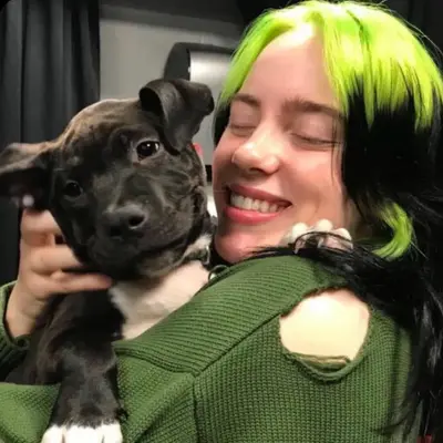 Billie Eilish：以幻想為主題的AI角色扮演角色藝術，用於沉浸式故事敘述