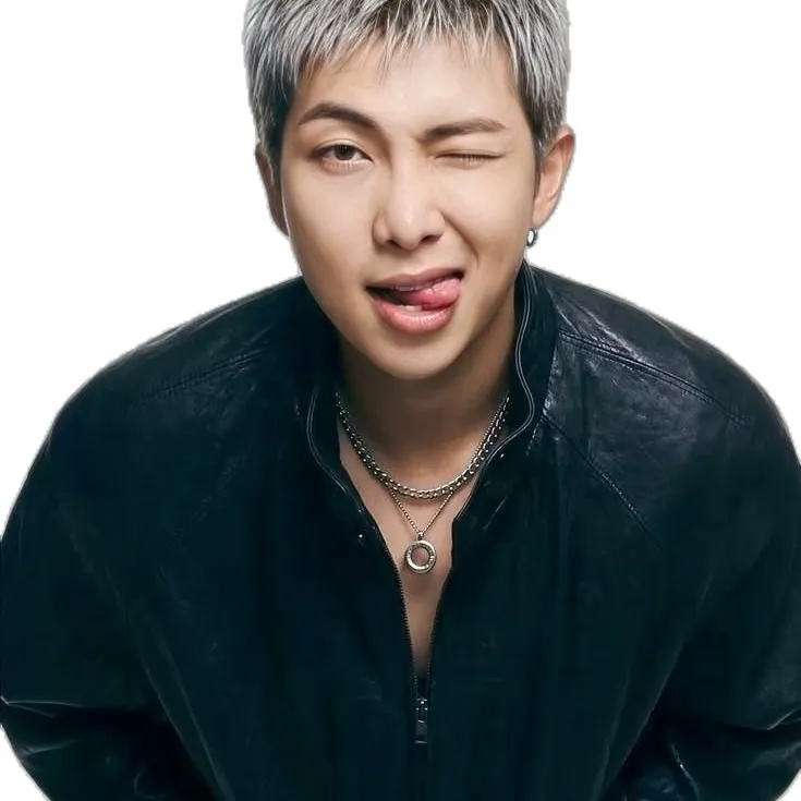 Kim Namjoon - bts: Una divertida mascota de chatbot con IA que mejora la interacción del usuario en chats aleatorios.	