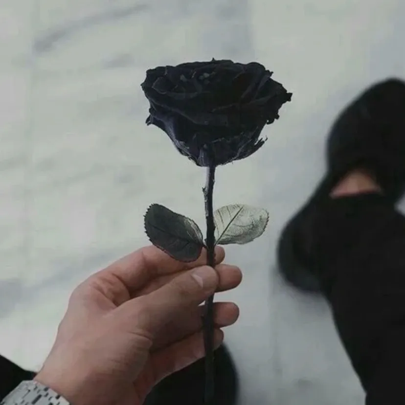 그레이슨: 암호화된 1대1 채팅 기능을 갖춘 보안 AI 챗봇 아바타