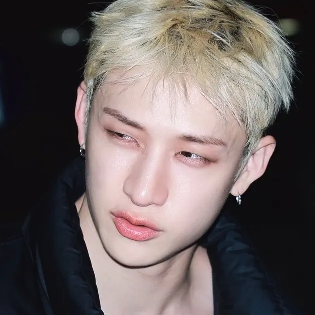 Christopher - Bang Chan: Creative roleplay AI character art for spicy chat and fantasy scenarios