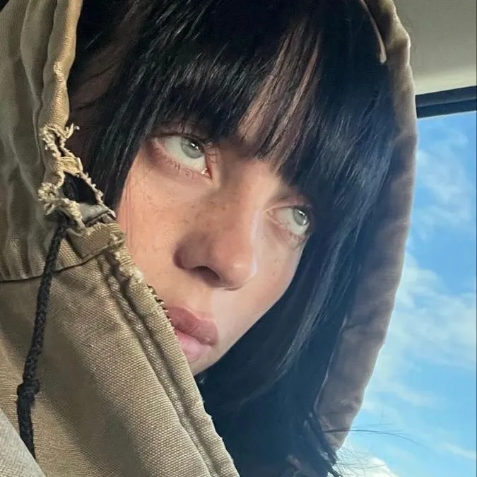 Billie Eilish: Creative roleplay AI character art for spicy chat and fantasy scenarios