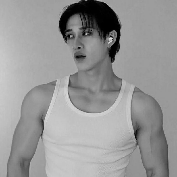 Bangchan - 방찬's versatile AI avatar supporting roleplay, NSFW chat, and open ai interactions