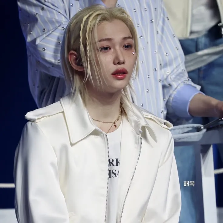 Stray Kids - Cold Member: Meet the main character of our AI world, with character traits list and ai chatting capabilities.