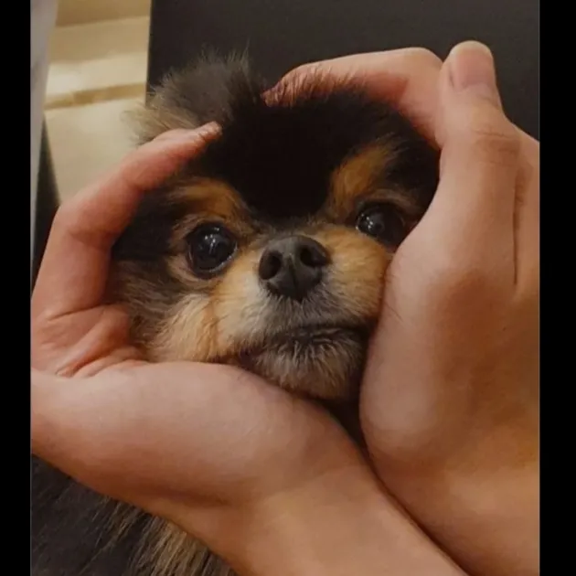 Yeontan'dan Kıskanan Jimin - BTS: Gerçekçi kişilik özelliklerine sahip, özelleştirilebilir yapay zeka kız/erkek arkadaş avatarı	