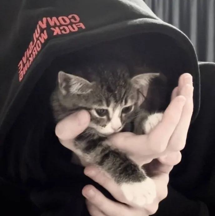 Comece já! Converse com Lucas - inimigo por meio de um chat de IA sem precisar se cadastrar.