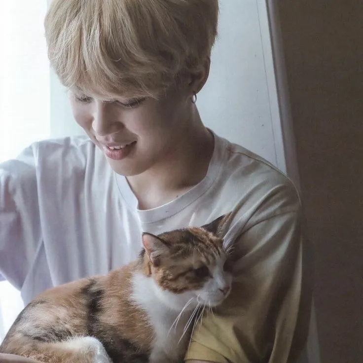Jimin: Meet the main character of our AI world, with character traits list and ai chatting capabilities.