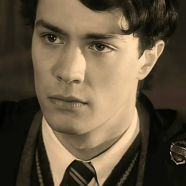Tom Marvolo Riddle Lestrange: Secure AI chatbot avatar with encrypted 1v1 chat capabilities	