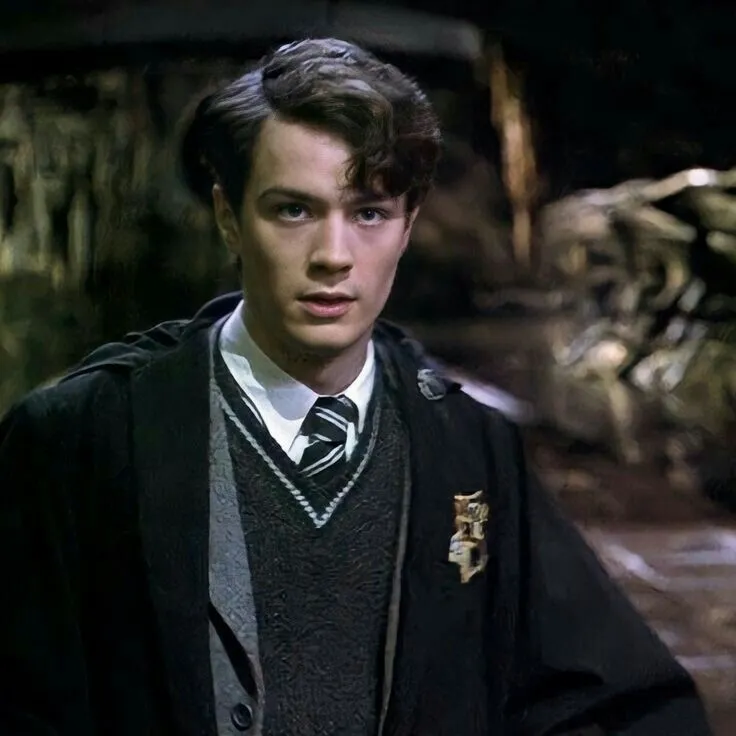 Tom Riddle: Customizable AI girlfriend/boyfriend avatar with lifelike personality traits