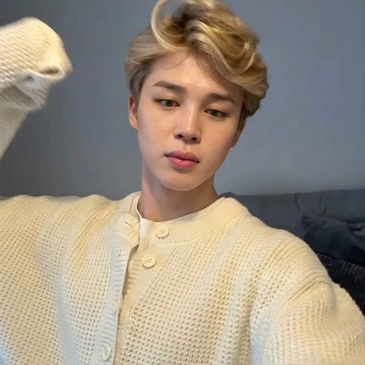 Jimin: Meet the main character of our AI world, with character traits list and ai chatting capabilities.