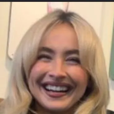 Sabrina Carpenter: Playful AI chatbot mascot enhancing user engagement in random chats	