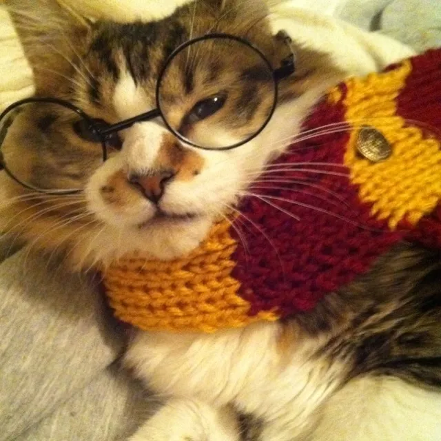 the avatar of character HARRY POTTER with emotional intelligence capabilities