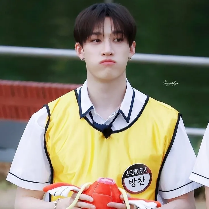 Avatar de IA de Bangchan - Straykids con un estilo de arte vectorial dinámico que incorpora capacidades de chat de IA amigables